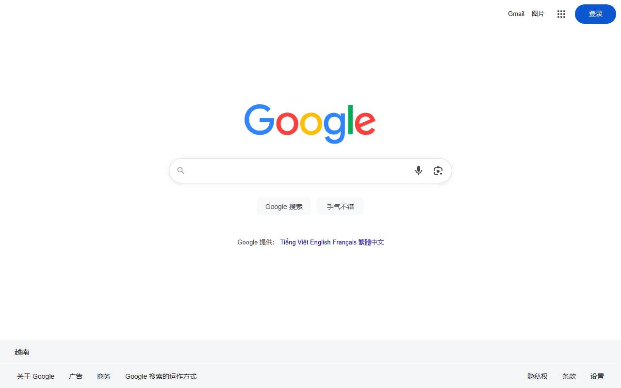 Google Internet Search